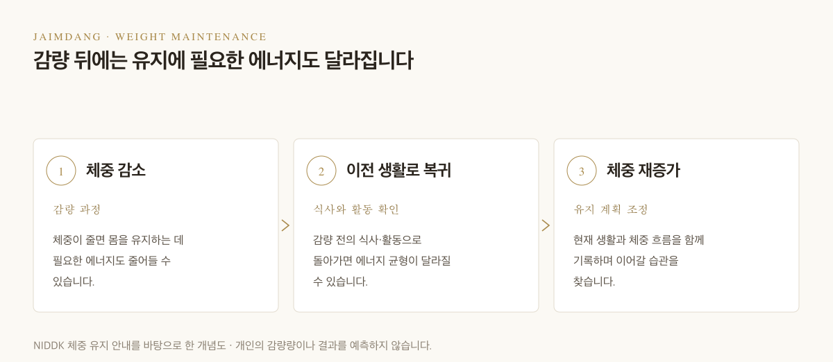 감량 뒤 에너지 필요량과 생활습관을 함께 살펴보는 기전 개념도