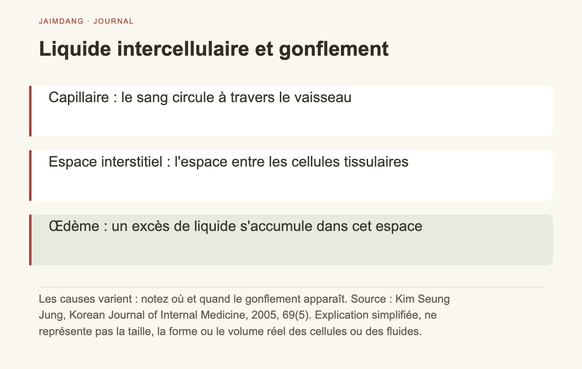Schéma explicatif du mécanisme de l’œdème : accumulation de liquide hors des capillaires sanguins dans les tissus