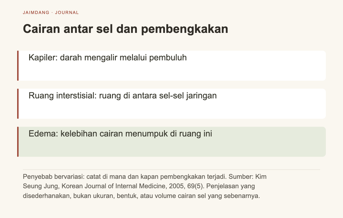 Diagram mekanisme edema: cairan menumpuk di antara jaringan di luar kapiler