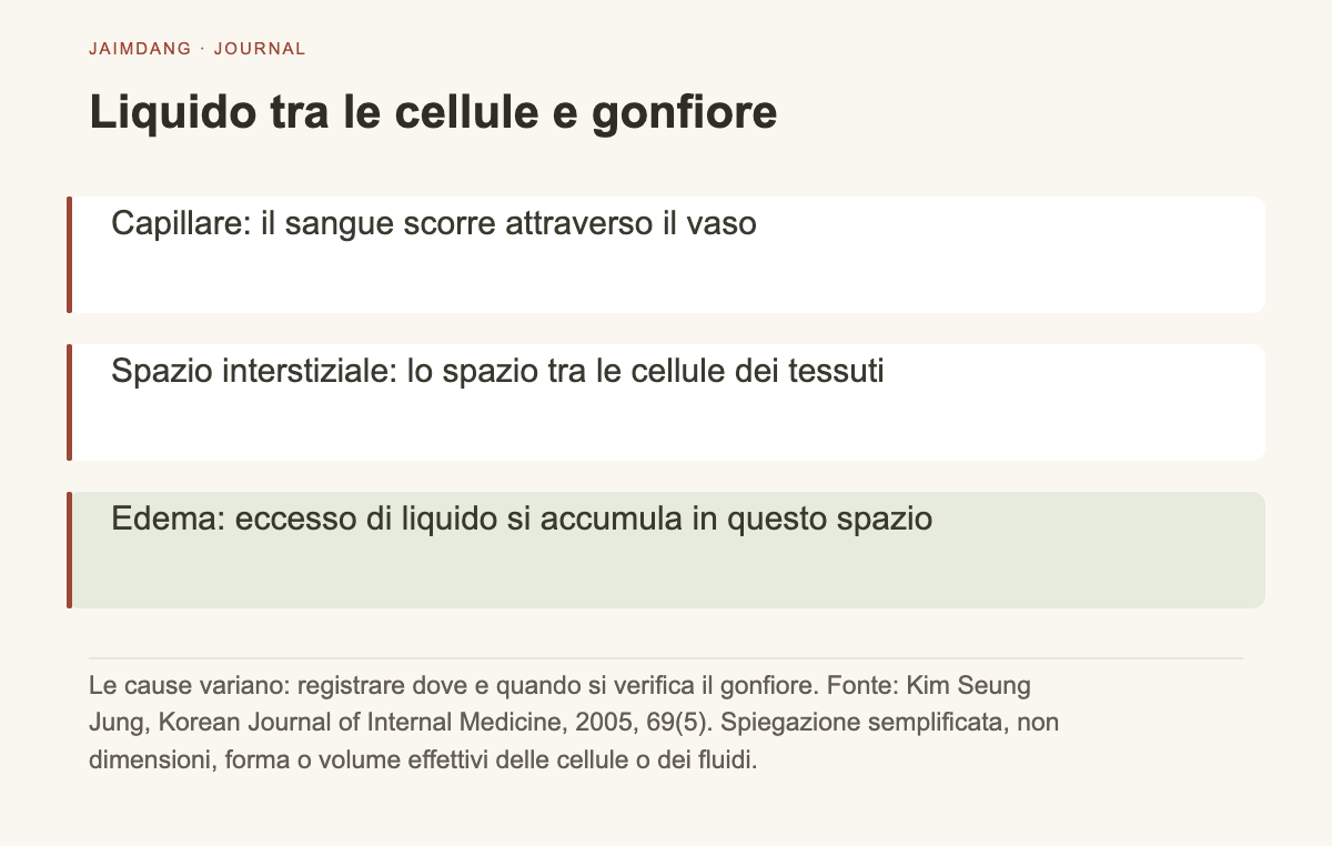 Schema del meccanismo del gonfiore: accumulo di liquido negli spazi tra i tessuti fuori dai capillari