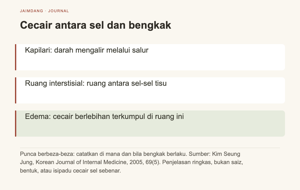 Diagram mekanisme edema: keadaan cecair terkumpul di antara tisu di luar kapilari darah